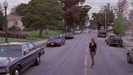 Revello Drive