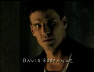 David Boreanaz