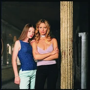 Original picture for cover