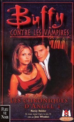Buffy the Vampire Slayer the Slayer Chronicles Volume 1 90s TV