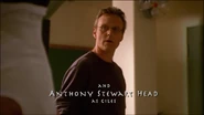Anthony Stewart Head