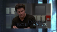 David Boreanaz