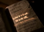 Notinsumeriananymore