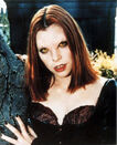 Vampire Willow 02