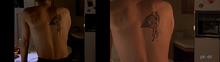 7.png