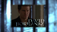 David Boreanaz