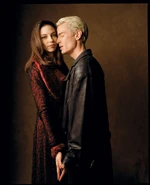 Original picture for cover