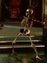 Skeleton.jpg