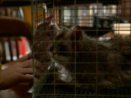 3X02DMP1015