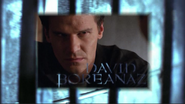 David Boreanaz