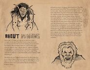 Vampyr journal-p4