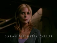 Sarah Michelle Gellar