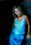 Original picture for cover