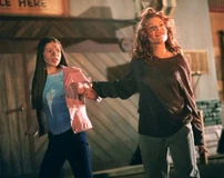 Spiral Dawn Glory.jpg (87 KB)