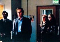 Choices Wilkins Willow Faith