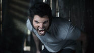 Derek Hale "wolfs out"