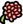 Succulent berry icon