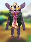 Baja Tacroach