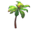 Palm Tree