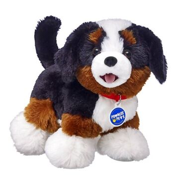 Bernese bear cheap