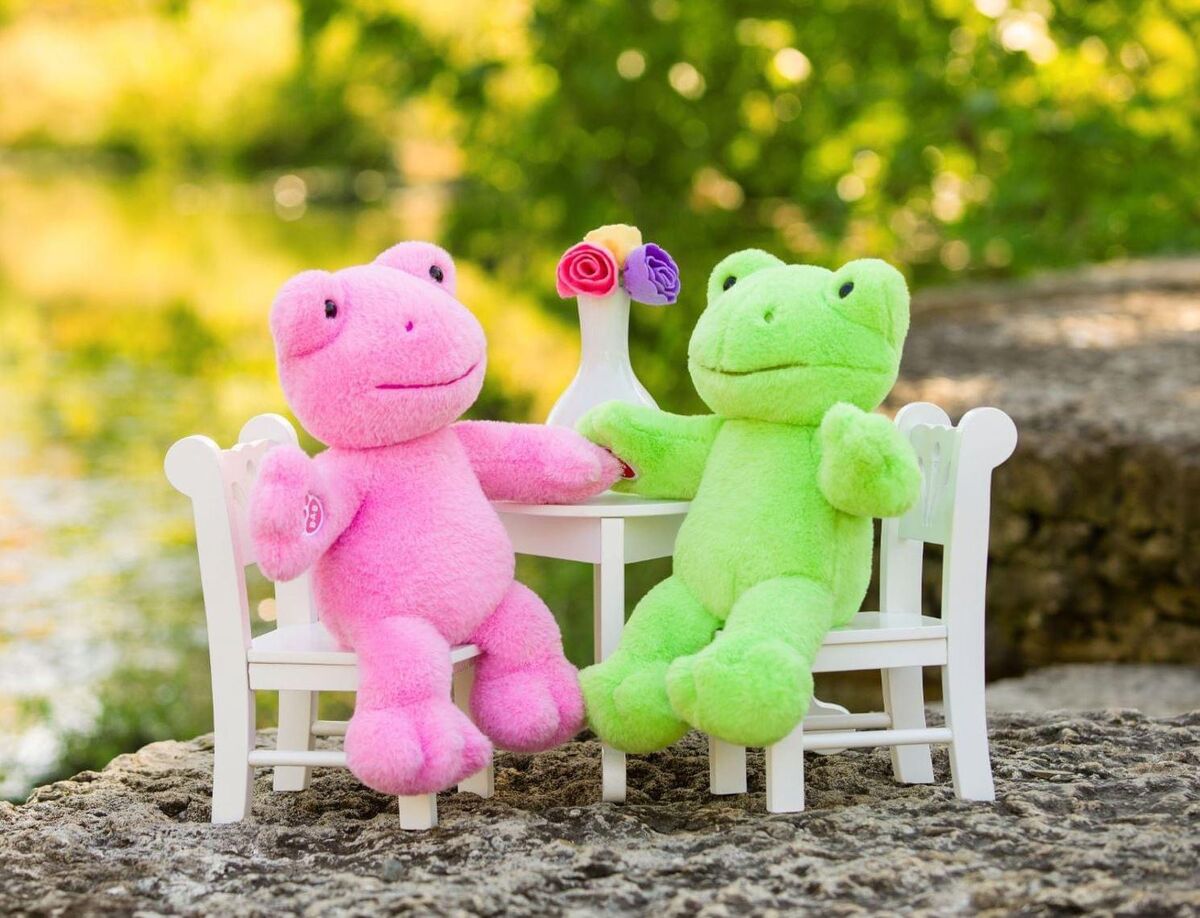https://static.wikia.nocookie.net/buildabear/images/f/fa/Spring_Green_and_pink_frog_facebook.jpeg/revision/latest/scale-to-width-down/1200?cb=20230610154611