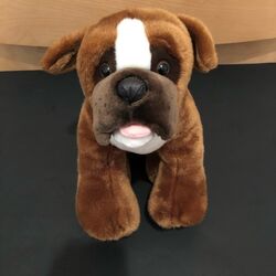 Build a top bear boxer dog