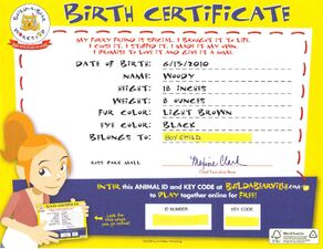 Certificate.jpg