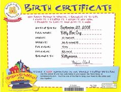 Birth Certificate | Build-A-Bear-Ville Wiki | Fandom