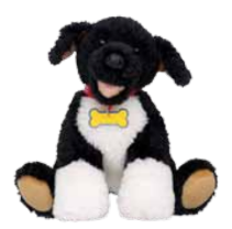 Portuguese Water Dog - Wikipedia