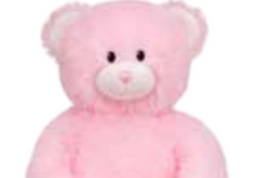 High School Musical Bear | Build-A-Bear-Ville Wiki | Fandom
