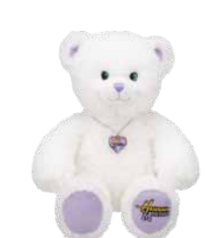 hannah montana build a bear