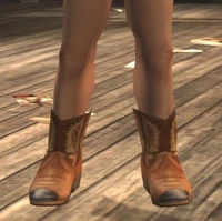 Cowboy Boots