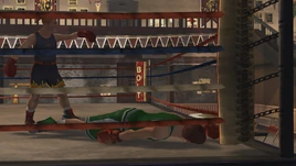 DishonorableFight-BSE-Title