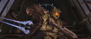 Arbiter and Chief