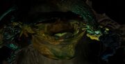 Chief Gravemind Arbiter
