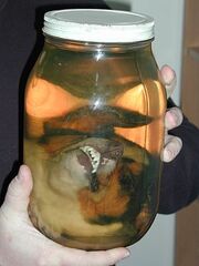 Ling-ling in a jar