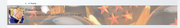 CoupLite2