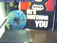 Really random cam featuring The Webmaster[17]