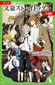 Anime Novel (JP)