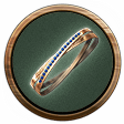 Ring wr87 icon