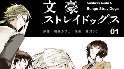 Bungo Stray Dogs Characters Age, Height, Birthdate in 2023