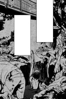 Reigo Island massacre (Gaiden manga)