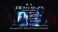 Blu-ray & DVD Promotional Video