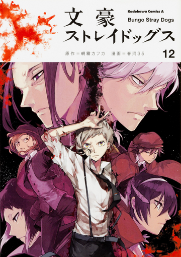 Bungo Stray Dogs Volume 12