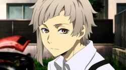 Bungo Stray Dogs (season 1) - Wikipedia