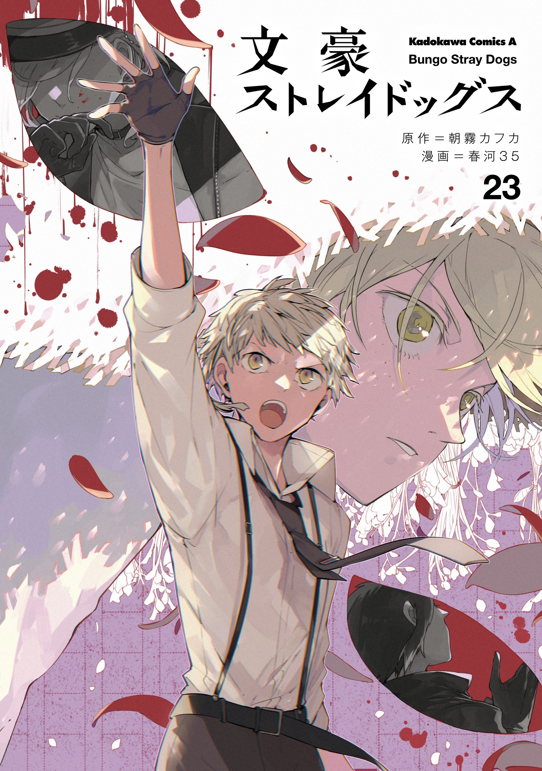 Bungo Stray Dogs, Vol. 5