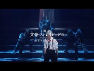 BD & DVD Promotional Video