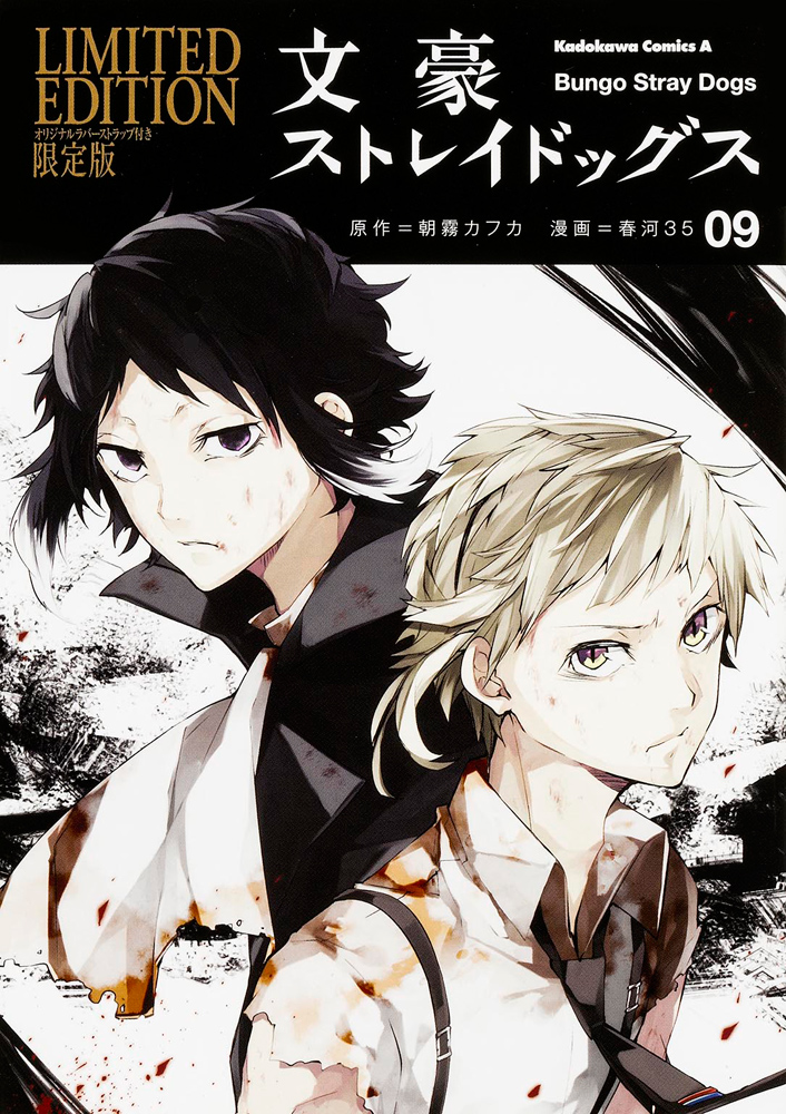 Bungo Stray Dogs Volume 9 Bungo Stray Dogs Wiki Fandom