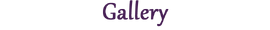 Gallery.png