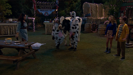 Moo-ment Captured